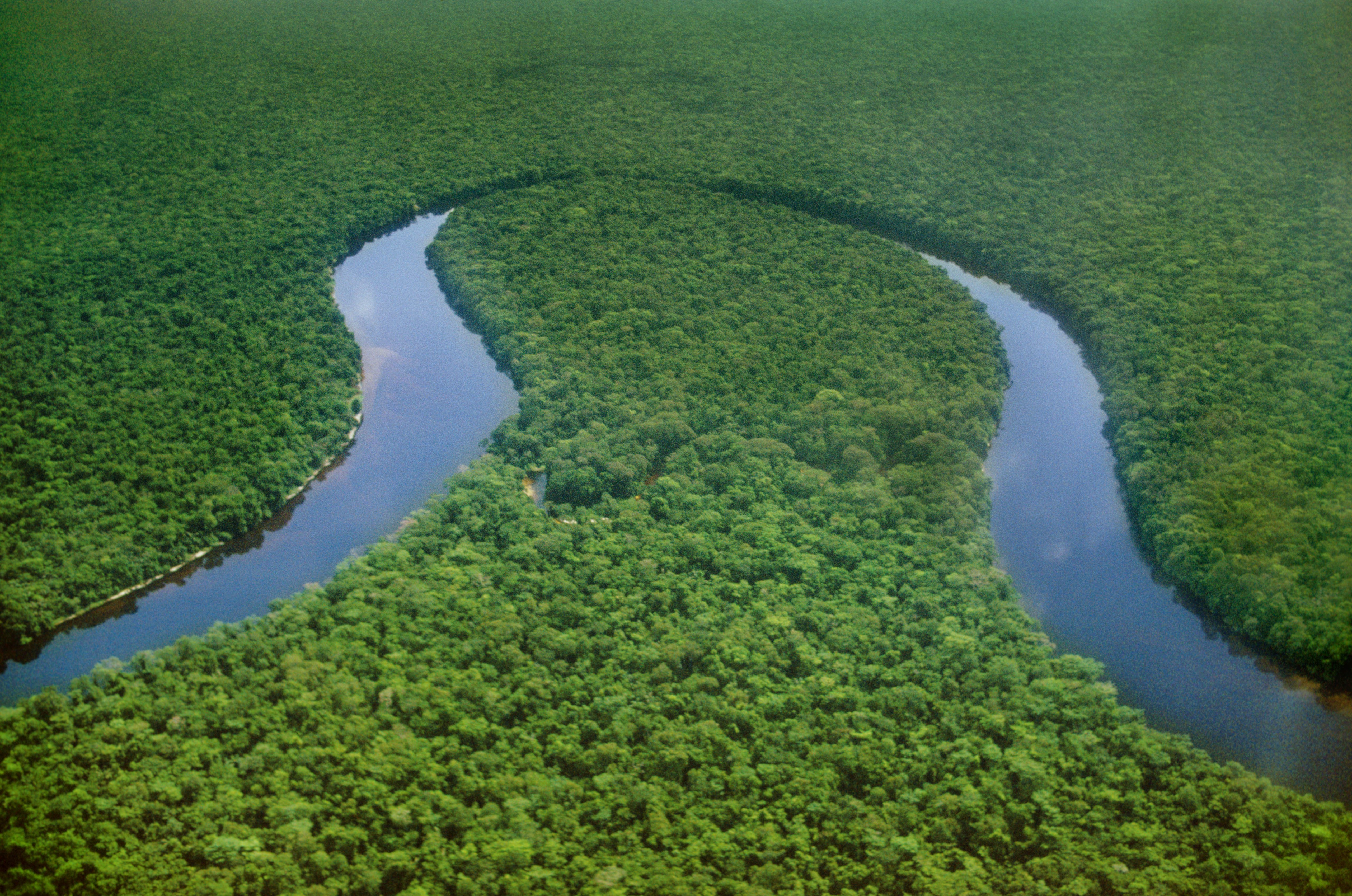 Первая река в мире. Река Конго в Африке. Долина реки Конго. Конго Заир река.