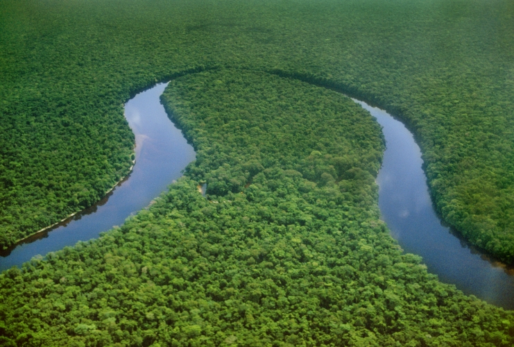 Foto: Frans Lanting/DPA/NTB Scanpix
